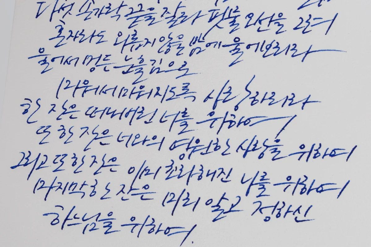 베개 만년필 18K 사용기 25 겸손몰 베개 만년필 18K, 그문드코튼